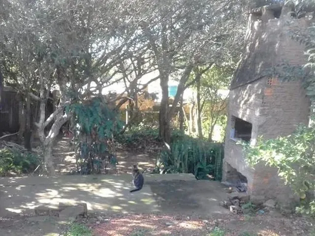 Imagem 3: Casa para Venda - 362.25M², 3 Dormitórios, Esmeralda