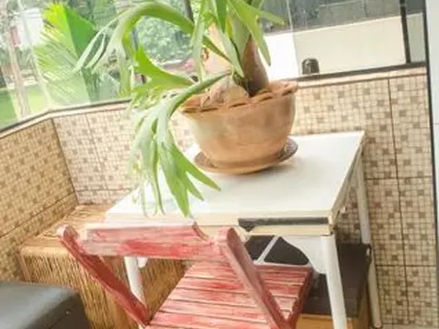 Imagem 11: Apartamento para Aluguel - Guará, 1 Quarto, 68 M2