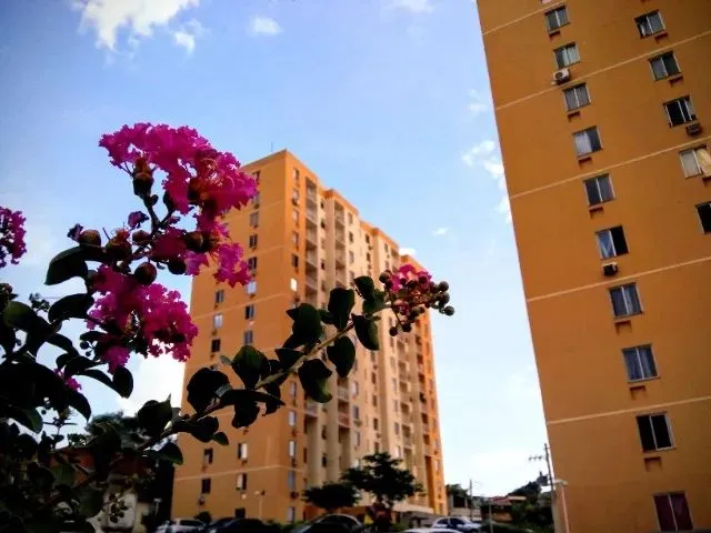 Imagem: Apartamento no Centro de Belford Roxo