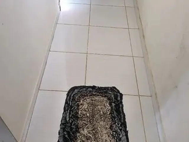 Imagem 4: Vendo Casa em Praia Grande, Serra-Es