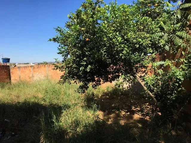 Imagem 4: Vende Casa Morada Passaros