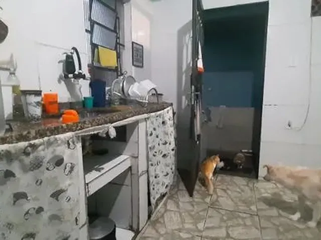 Imagem 2: Vende-Se Casa em Ricardo de Albuquerque