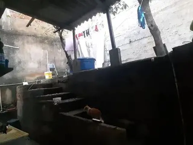 Imagem 3: Vende-Se Casa em Ricardo de Albuquerque