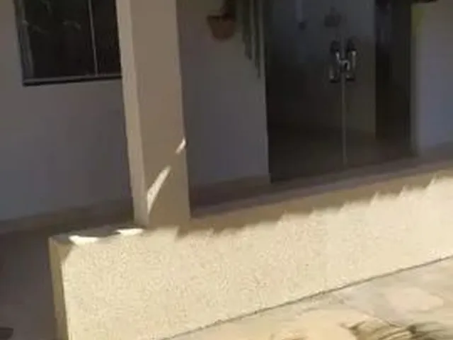 Imagem: Aluguel Mensal Casa de Fundos (Barracão