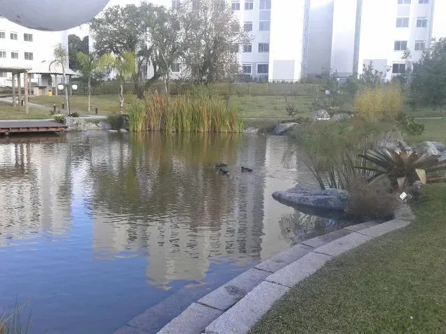 Imagem 9: Apartamento Cosenza, 2 Quartos, Pinheirinho