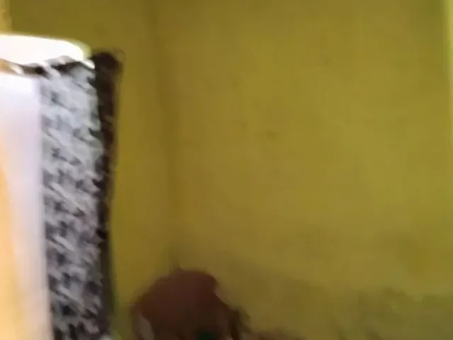 Imagem: Casa para Vender Ligeiro