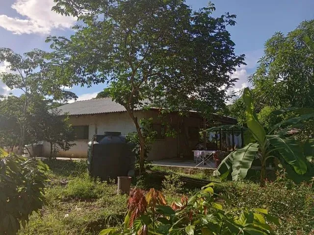 Imagem: Vende-Se Sítio Próximo a Margem Esquerda