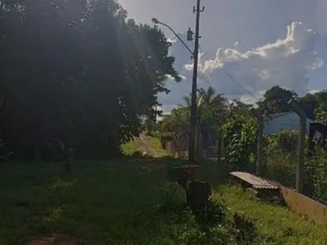 Imagem 8: Vende-Se Sítio Próximo a Margem Esquerda do Rio Madeira.ligar no Número
