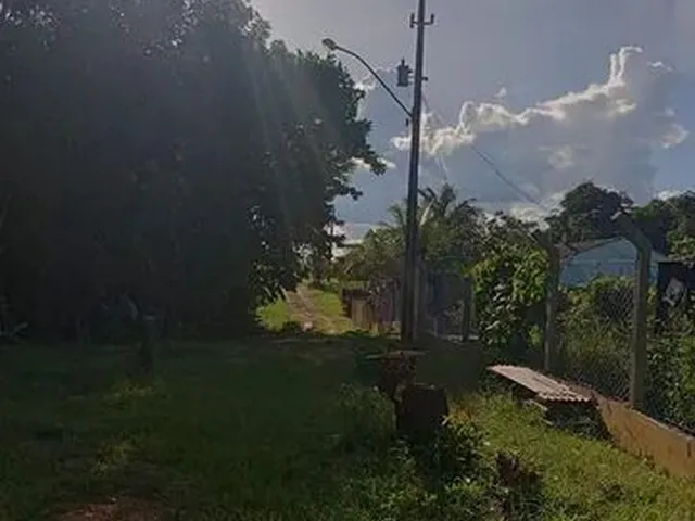 Imagem 16: Vende-Se Sítio Próximo a Margem Esquerda do Rio Madeira.ligar no Número
