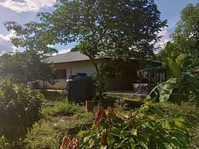 Imagem 4: Vende-Se Sítio Próximo a Margem Esquerda do Rio Madeira.ligar no Número