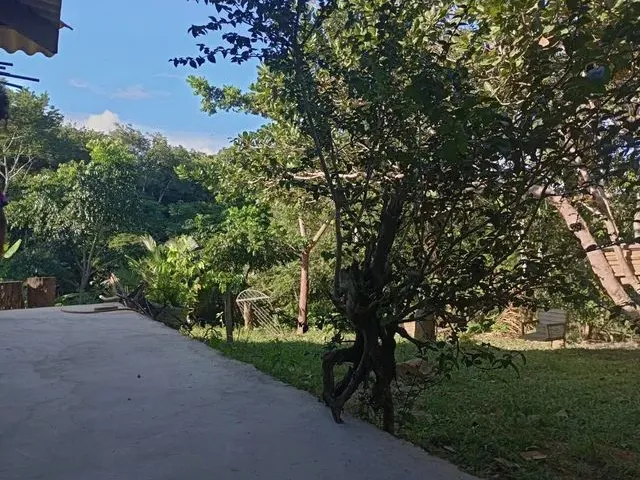 Imagem 10: Vende-Se Sítio Próximo a Margem Esquerda do Rio Madeira.ligar no Número