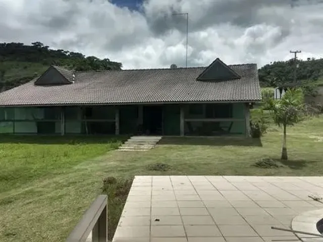 Imagem: Fazenda de 15 Hectares em Chá Grande/Pombos