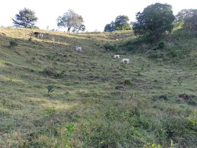Imagem: Oferta Chácara na Serra da Mantiqueira