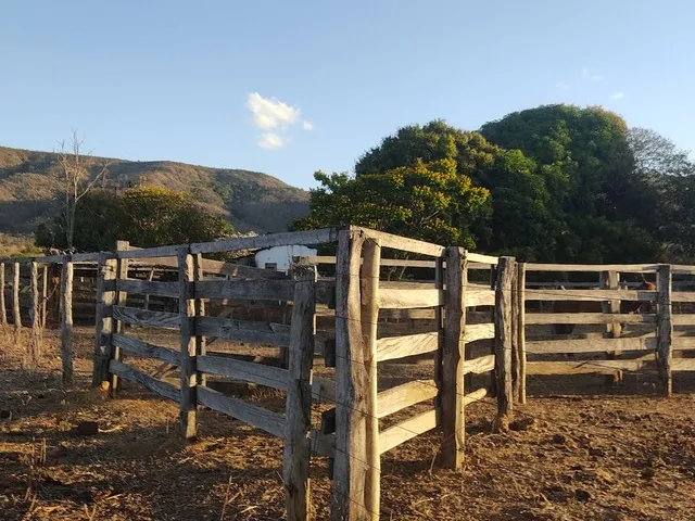 Imagem 13: Sitio de 40 Hectares no Município de Buritis-Mg