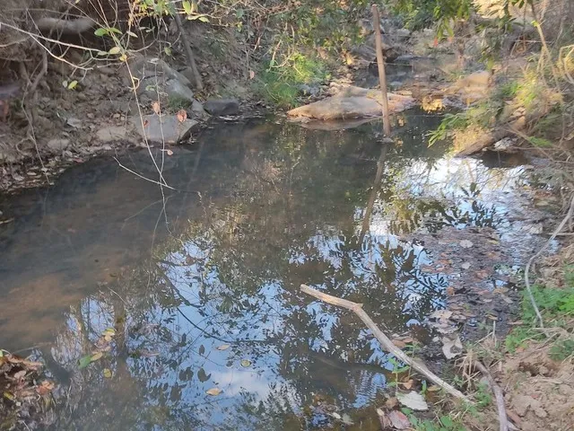 Imagem 4: Sitio de 40 Hectares no Município de Buritis-Mg