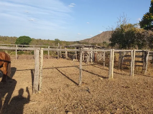 Imagem 7: Sitio de 40 Hectares no Município de Buritis-Mg