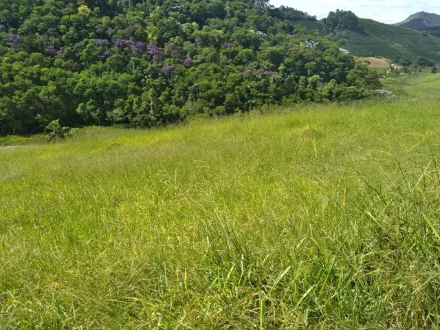 Imagem: Sítio 2 Alqueires - Ibitirama