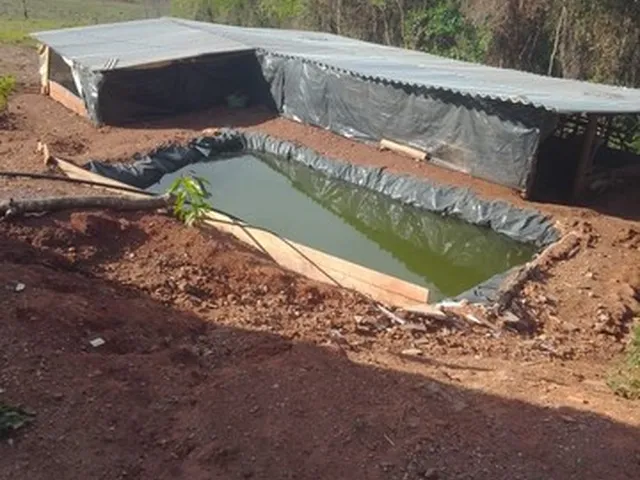 Imagem: Chácara Próximo a Inhumas 33 Litros