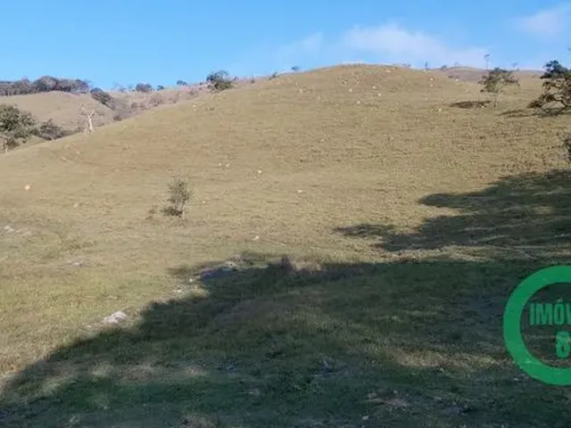 Imagem: Terras Pecuária 24,20 Ha Região de