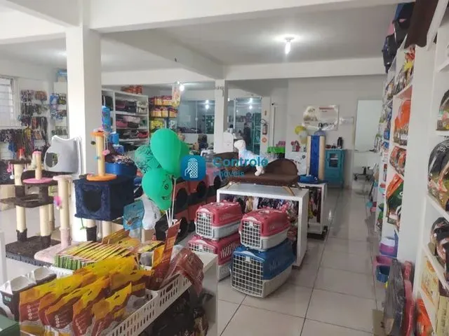 Imagem 3: Mf/Excelente Oportunidade - Petshop Completa