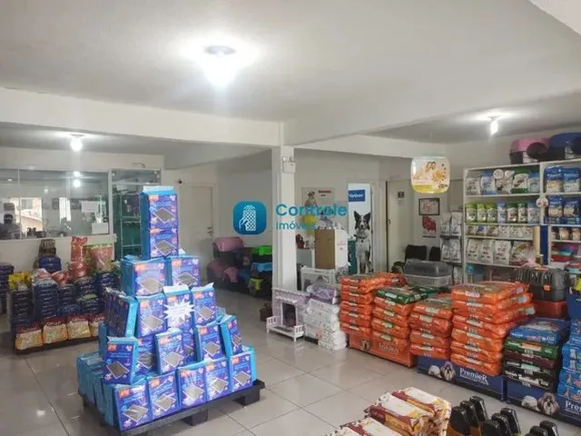 Imagem 8: Mf/Excelente Oportunidade - Petshop Completa
