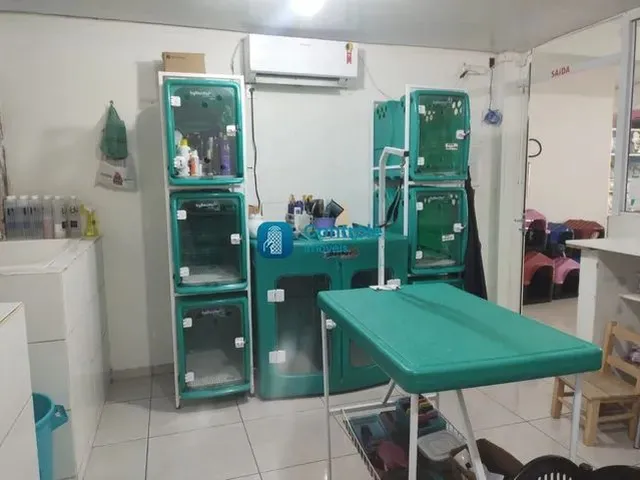 Imagem 9: Mf/Excelente Oportunidade - Petshop Completa