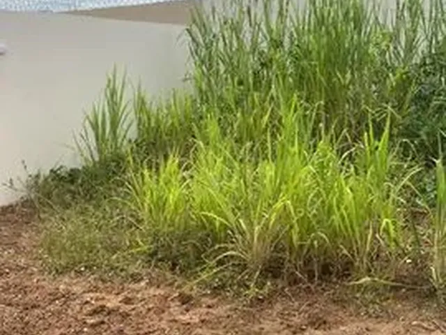 Imagem 6: Casa a Venda no Jardim Universitário - Cuiabá - Mt