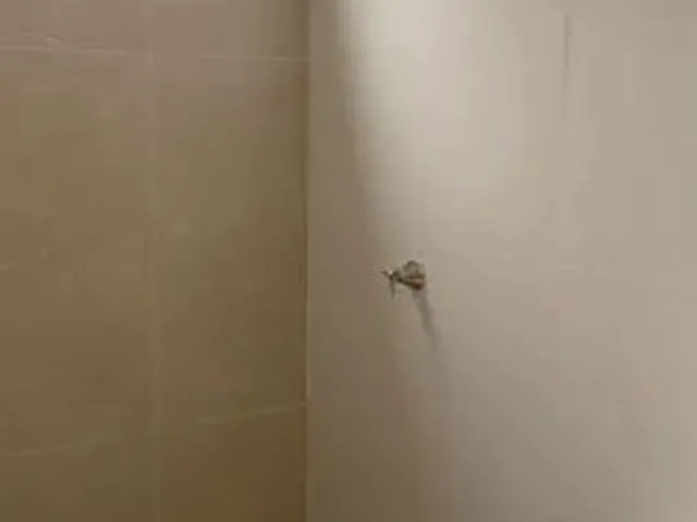 Imagem 5: Casa a Venda no Jardim Universitário - Cuiabá - Mt
