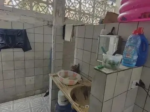 Imagem 3: Casa para Venda em Jardim São Paulo - Recife - Pe