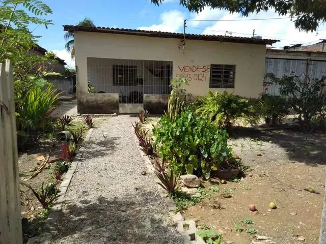 Imagem: Mini Sítio na Sotave