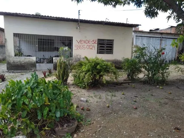 Imagem 2: Mini Sítio na Sotave