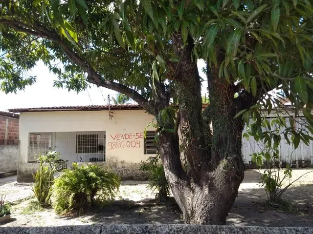 Imagem 5: Mini Sítio na Sotave