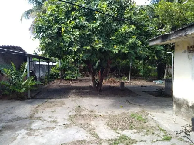 Imagem 3: Mini Sítio na Sotave