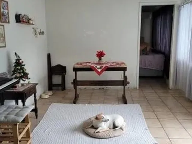 Imagem 6: Vendo Casa no São Vicente - Itajaí