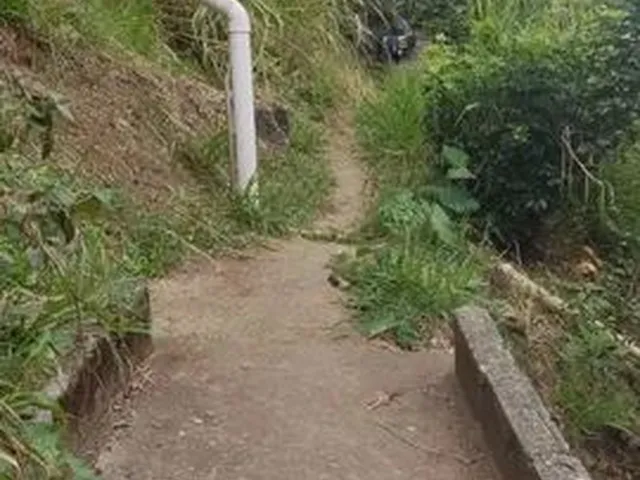 Imagem 6: Casa de Madeira no Monte Serrat - Centro