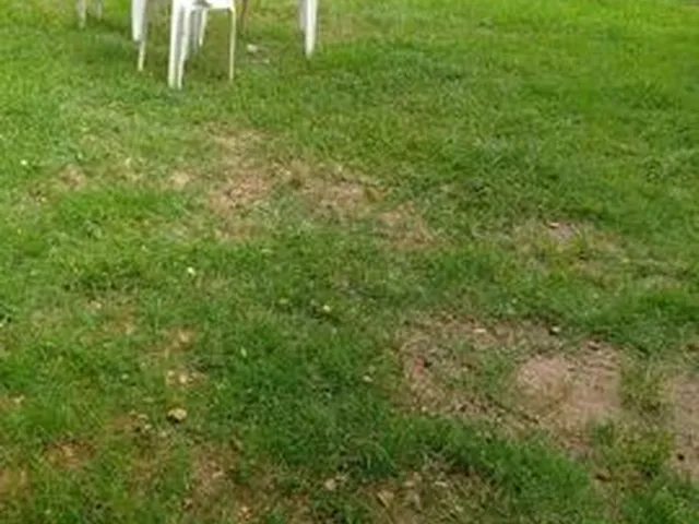 Imagem 3: Quarto Individual a 5Mnts a Pé da Ufsc-Trindade