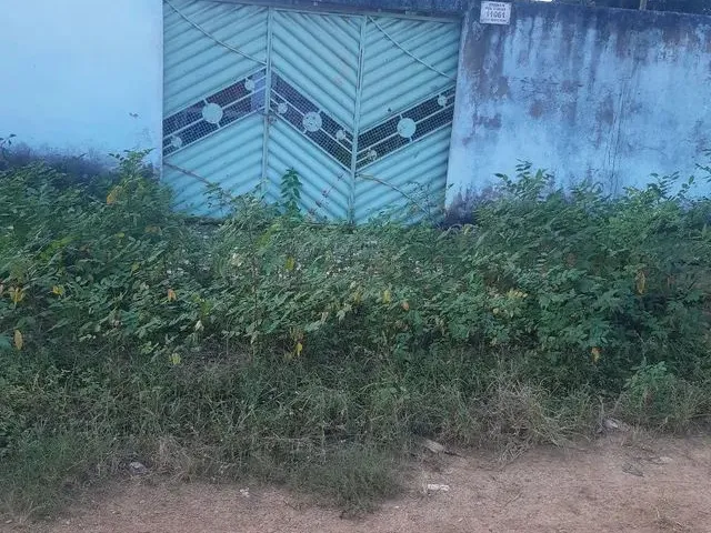 Imagem: Casa