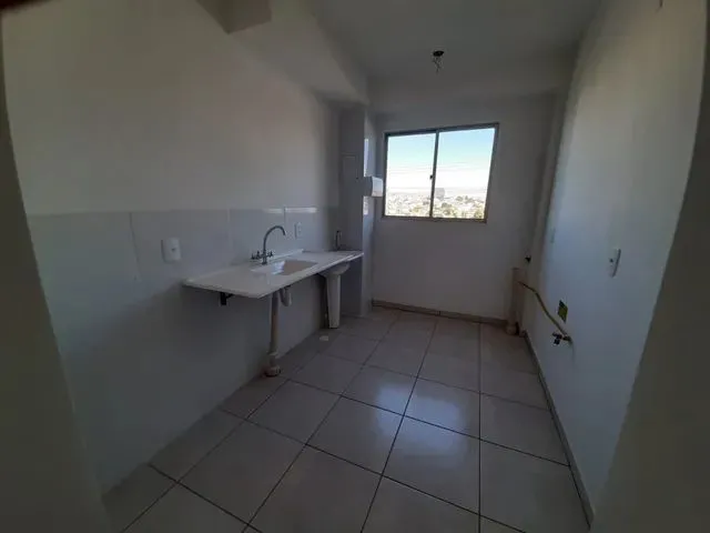 Imagem 8: Belo Horizonte - Padrão - Palmares