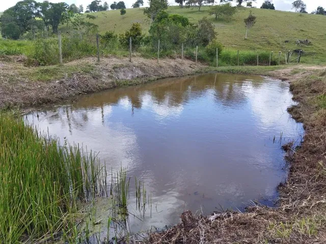 Imagem: Vendo Excelente Fazenda no Entroncamento