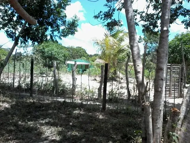 Imagem 7: Casa com Terreno em Itanagra 1400M2