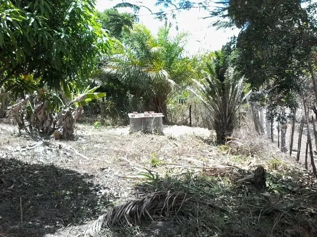 Imagem 14: Casa com Terreno em Itanagra 1400M2