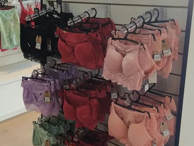 Imagem 12: Ponto Comercial - Loja Centro