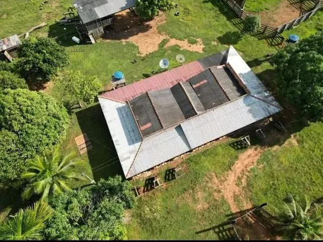Imagem: Sitio 52 Hectares Formado