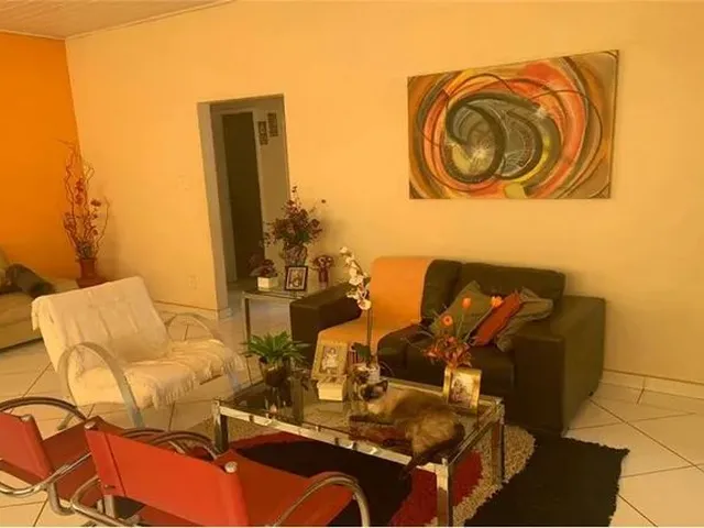 Imagem 5: .