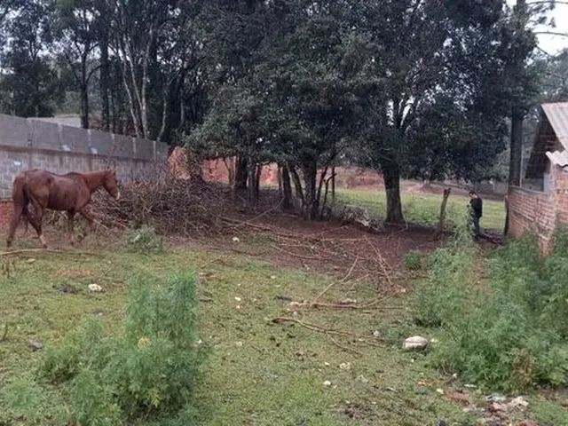 Imagem: Terreno para Venda no Passaúna