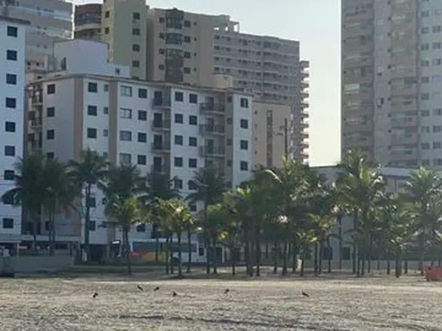 Imagem: Alugo Ap Praia Grande Beira Mar