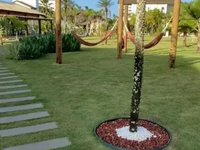 Imagem 2: Apartamento Temporada no Resort Tree Bies 1 Quarto