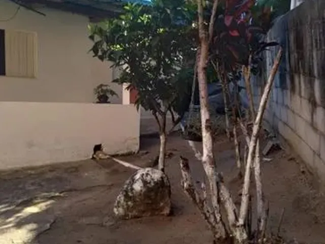 Imagem 5: Agj04 Casa Muito Boa Aqui na Serra
