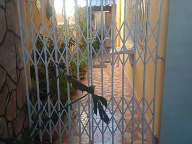 Imagem 9: Casa com 3 Quartos em Ricardo de Albuquerque
