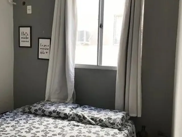 Imagem 12: Excelente Apartamento Solas das Palmeiras